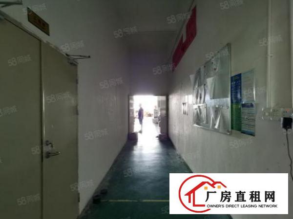  观澜牛湖能做蓝牙耳机的带装修的办公室和生产车间厂房出租