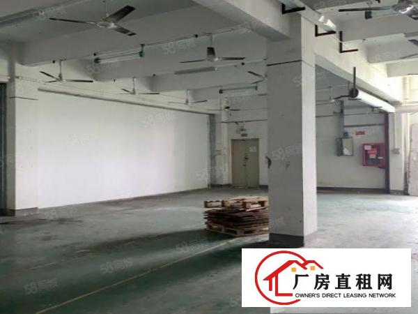  观澜竹村.原房东建筑面积出租.楼上280平小面积厂房
