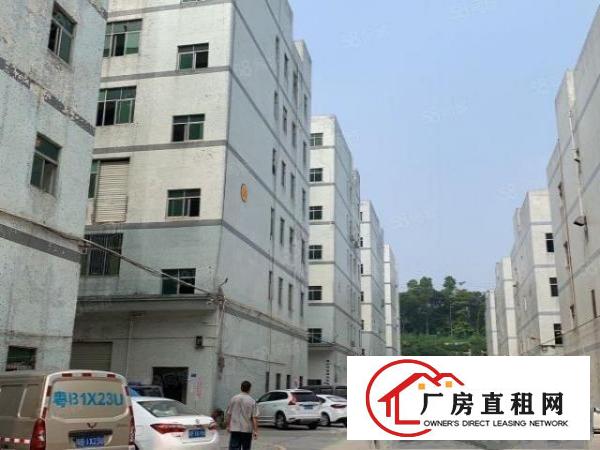  观澜竹村.原房东建筑面积出租.楼上280平小面积厂房