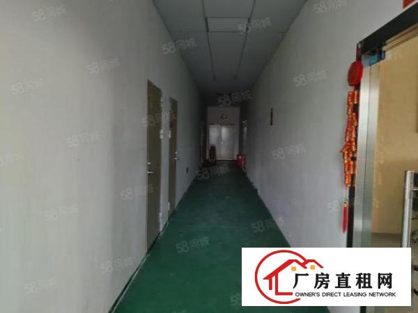  1550平中型面积厂房，无行业限制(除污染行业)大小可分