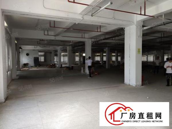  1550平中型面积厂房，无行业限制(除污染行业)大小可分