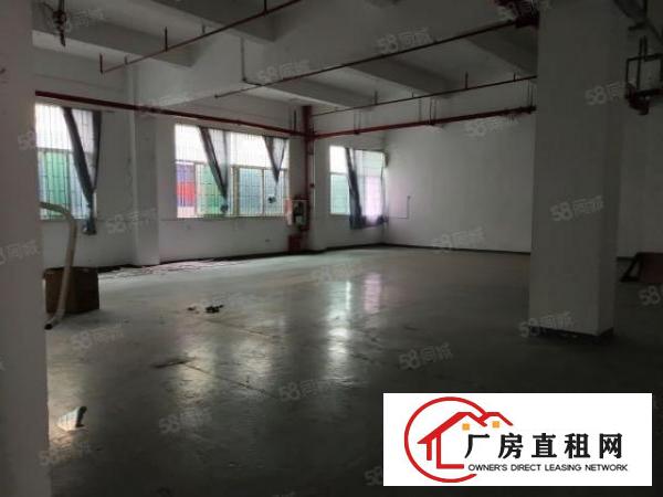  1550平中型面积厂房，无行业限制(除污染行业)大小可分