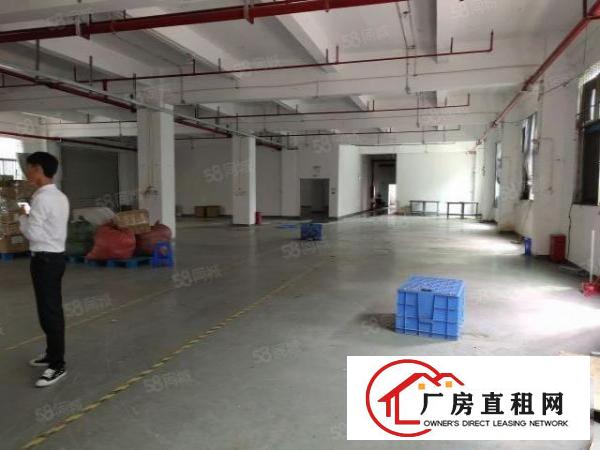  1550平中型面积厂房，无行业限制(除污染行业)大小可分