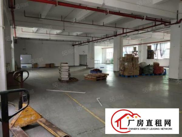  1550平中型面积厂房，无行业限制(除污染行业)大小可分