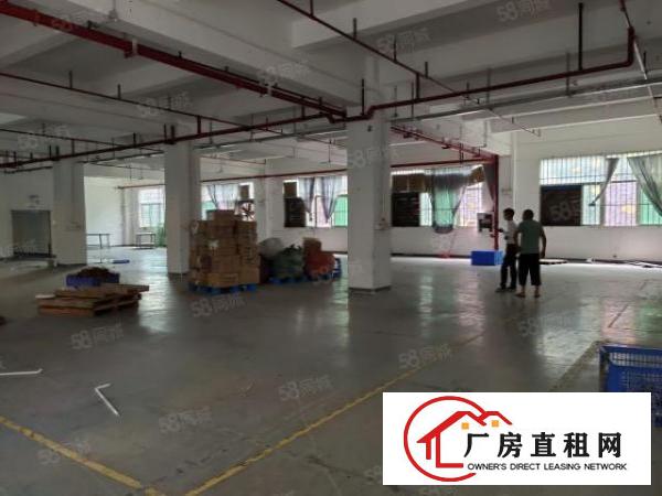  1550平中型面积厂房，无行业限制(除污染行业)大小可分