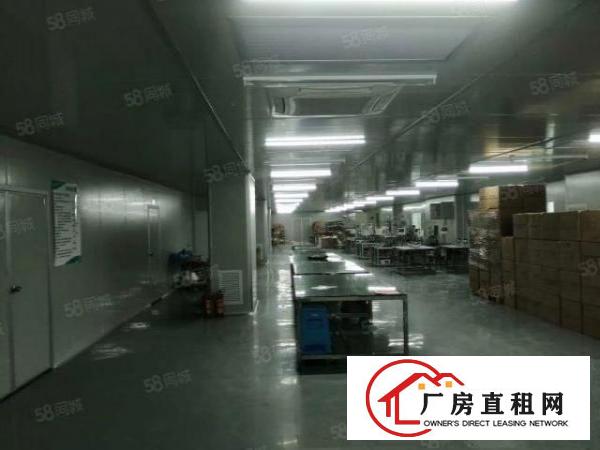  观澜桂花超靓无尘室厂房出租