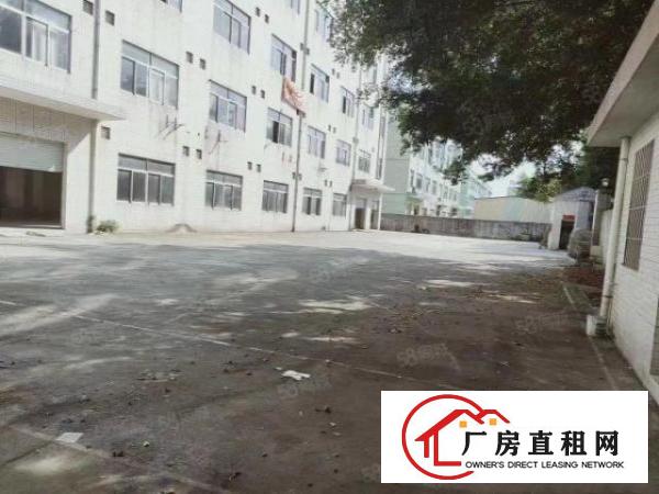  观澜街道清平路独门独院9500，厂房四层6800单层面积