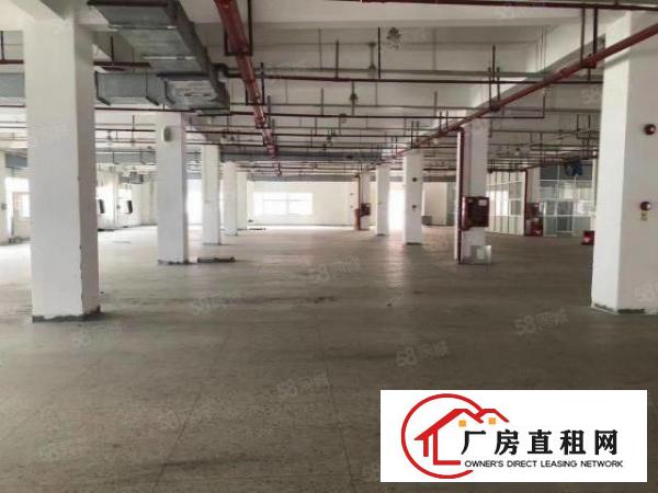  观澜街道清平路独门独院9500，厂房四层6800单层面积