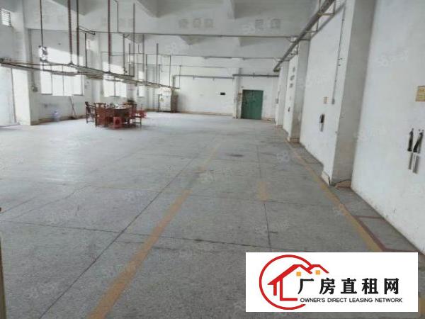  观澜街道清平路独门独院9500，厂房四层6800单层面积