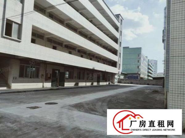  观澜街道清平路独门独院9500，厂房四层6800单层面积