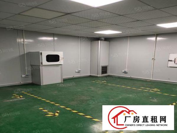  观澜桂花无尘室厂房出租