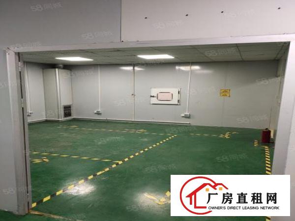  观澜桂花无尘室厂房出租