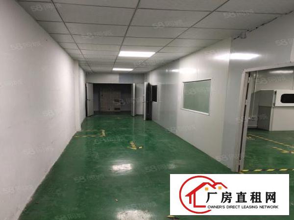  观澜桂花无尘室厂房出租