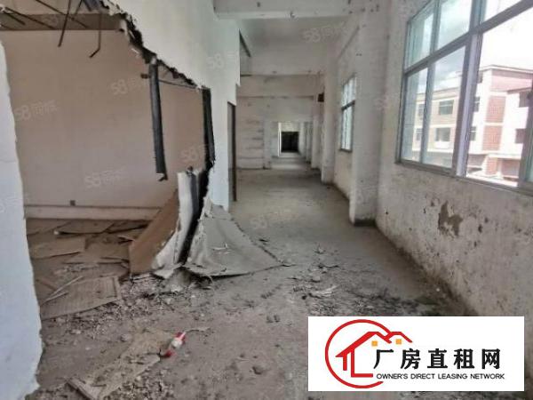  黎光社区3楼整层有电梯宿舍按需可分租可整租精装