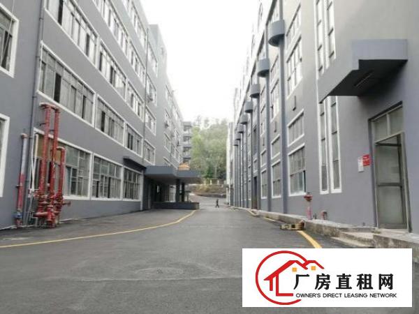  观澜地铁口红本厂房招租
