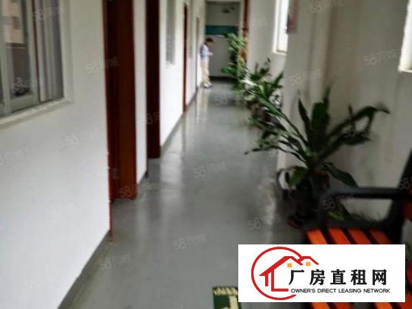 观澜新出楼上整层带豪华精装修厂房招租，面积实在，手慢无
