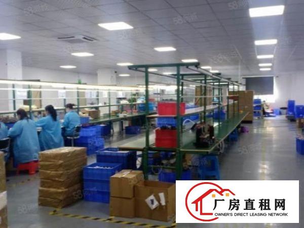  豪华精装修厂房招租，面积1800平。
