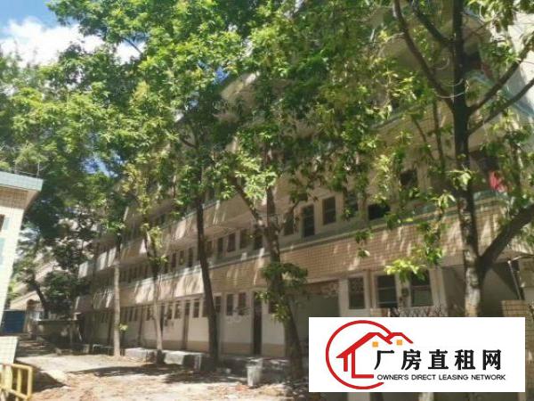  200平起分租观澜库坑独门独院12600平合同6年主线到车间