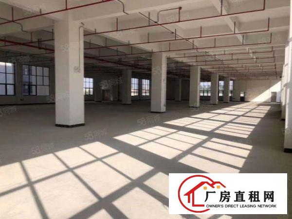  200平起分租观澜库坑独门独院12600平合同6年主线到车间
