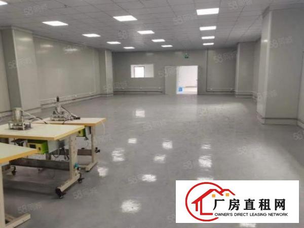  观澜桂花新出楼上600平方带装修厂房出租