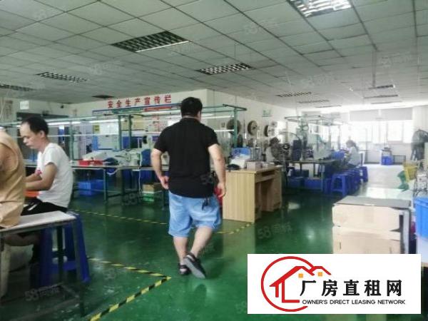  观澜福民新出楼上1100平方带精装厂房出租