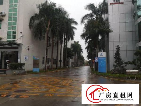  观澜新田主干道旁新出精装修2200平厂房出租无需转让费