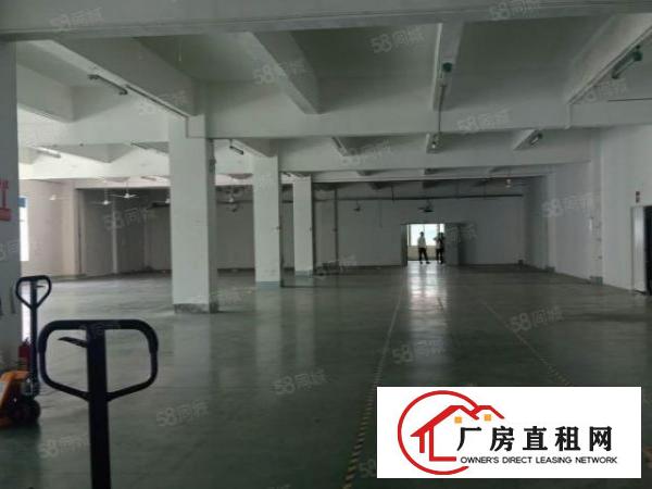  观澜新田主干道旁新出精装修2200平厂房出租无需转让费