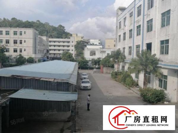  观澜福民新出精装修厂房二楼整层2000平米出租19元特价