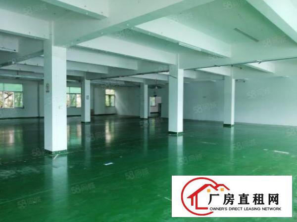  观澜福民新出精装修厂房二楼整层2000平米出租19元特价
