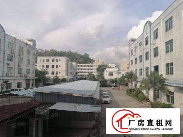  观澜福民新出精装修厂房二楼整层2000平米出租19元特价