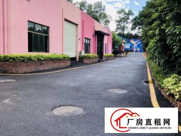  一楼750平800平2300平出租，可分租，形象好交通好