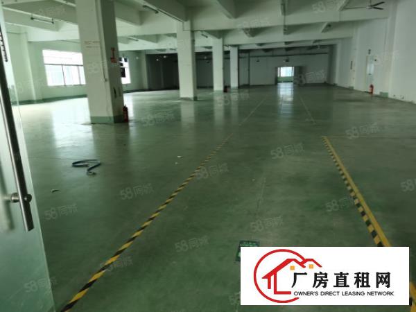  观澜桂花高速附近大型园区二楼3000平带装修生产厂房出租