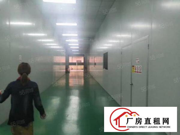  观澜松元新出2800平带装修厂房出租