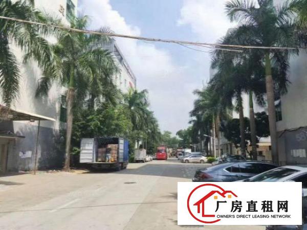  观澜龙观快速边上新出厂房2000平米带精装修，