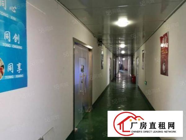  龙华观澜小面积厂房办公室招租50平100平150平
