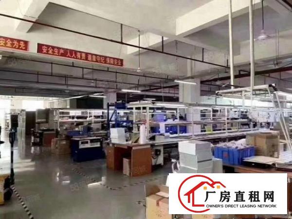  观澜福民楼上2050平豪华精装修厂房出租