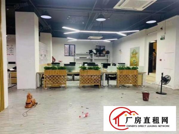  观澜福民楼上2050平豪华精装修厂房出租