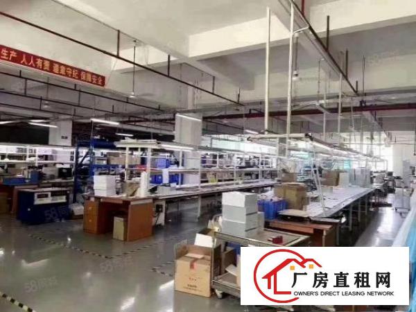  观澜福民楼上2050平豪华精装修厂房出租