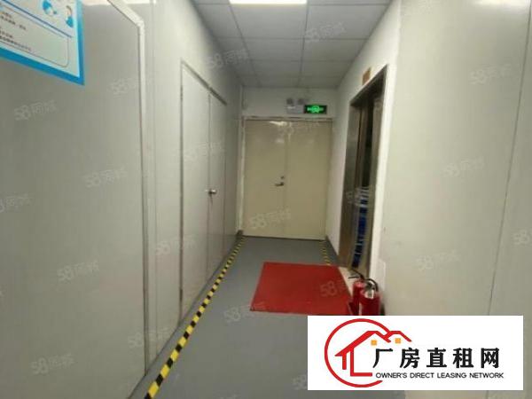  观澜章阁市场大富工业区无尘车间厂房500平方
