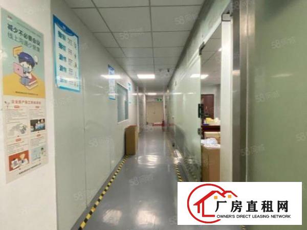  观澜章阁市场大富工业区无尘车间厂房500平方