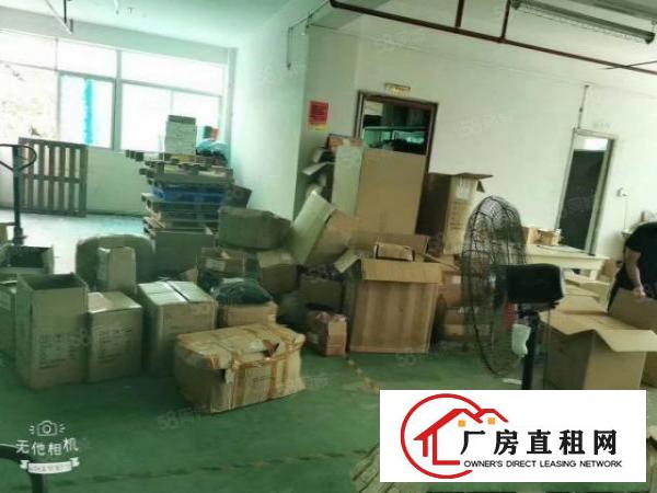  观澜福民新出楼上单层面积550平方带装修厂房出租
