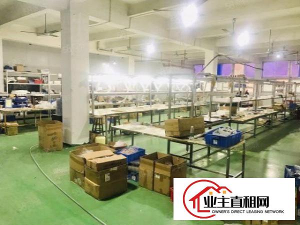 观澜福民楼上220平，带办公室装修，全吊顶，园区形象好，