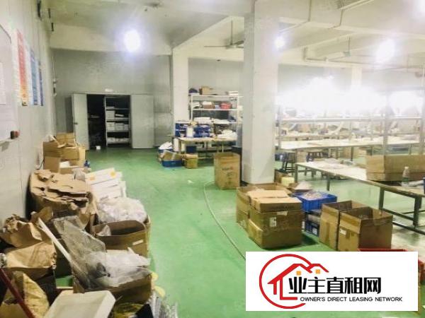  观澜福民楼上220平，带办公室装修，全吊顶，园区形象好，