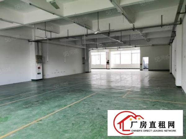  观澜福民主干道边上原房东工业园楼上1840平精装无转让费
