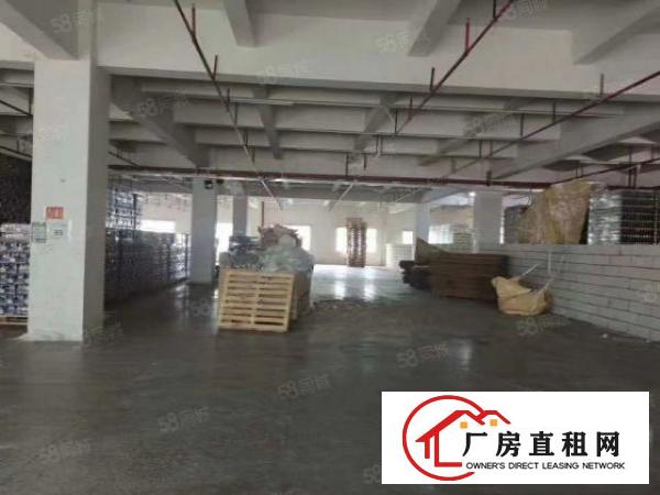  观澜主干道边上，位置优越，超大空地独院厂房4800平方可分租