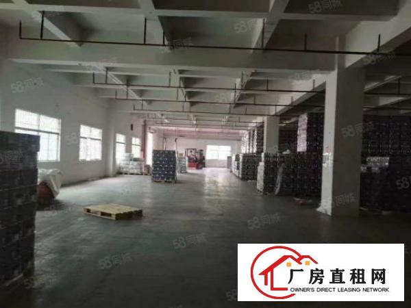  观澜主干道边上，位置优越，超大空地独院厂房4800平方可分租