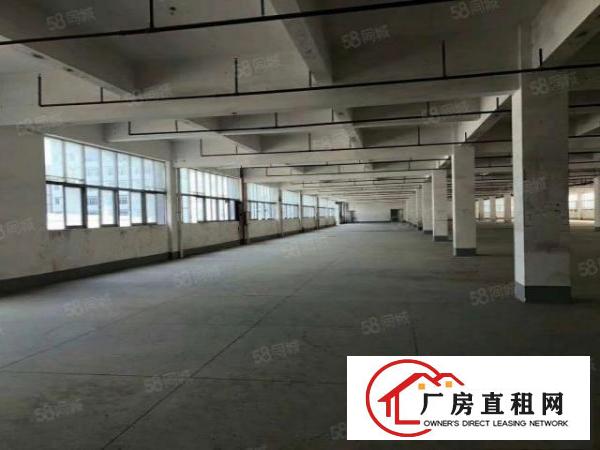  观澜主干道边上，位置优越，超大空地独院厂房4800平方可分租