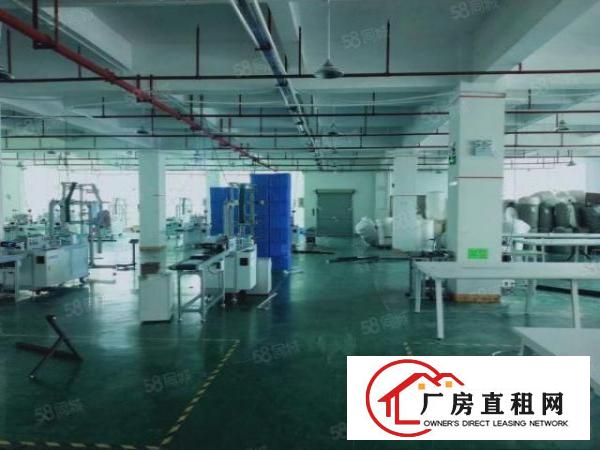  观澜桂花路原房东自建花园式厂房带红本3楼2000平豪华装修