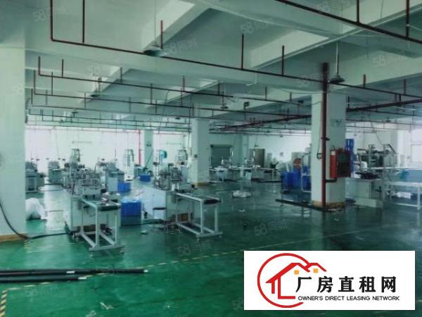  观澜桂花路原房东自建花园式厂房带红本3楼2000平豪华装修