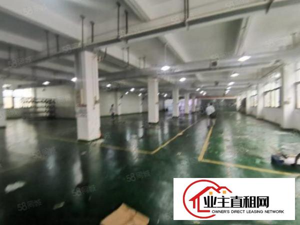  观澜樟坑径五和大道边原房东一楼1000平米厂房仓库出租无公摊
